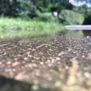 Meet your Posher, Kella